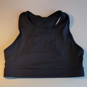 Fabletics Sports Bra (Black)